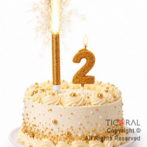 SET BENGALA Y VELA NUMERAL NUMERO 2 CON GIBRE ORO